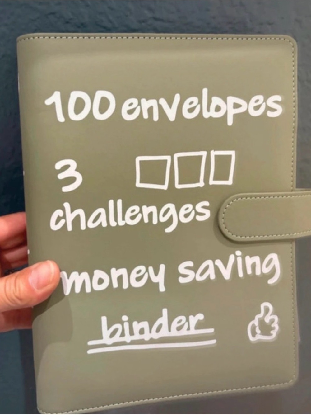 Money Saving Binder Challenge